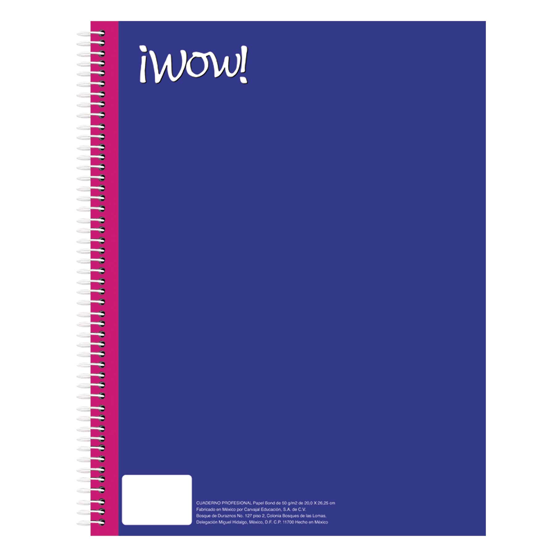 Cuaderno Profesional Wow Unicolor Cuadro Grande 100 h.